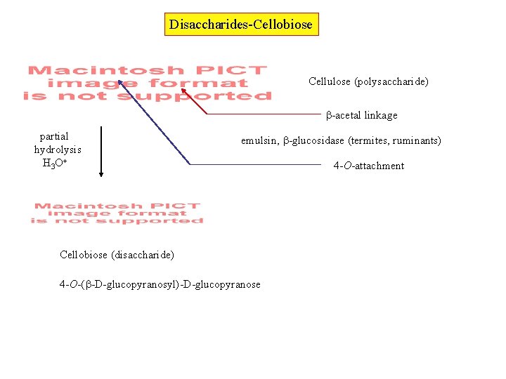 Disaccharides-Cellobiose Cellulose (polysaccharide) -acetal linkage partial hydrolysis H 3 O+ emulsin, -glucosidase (termites, ruminants)