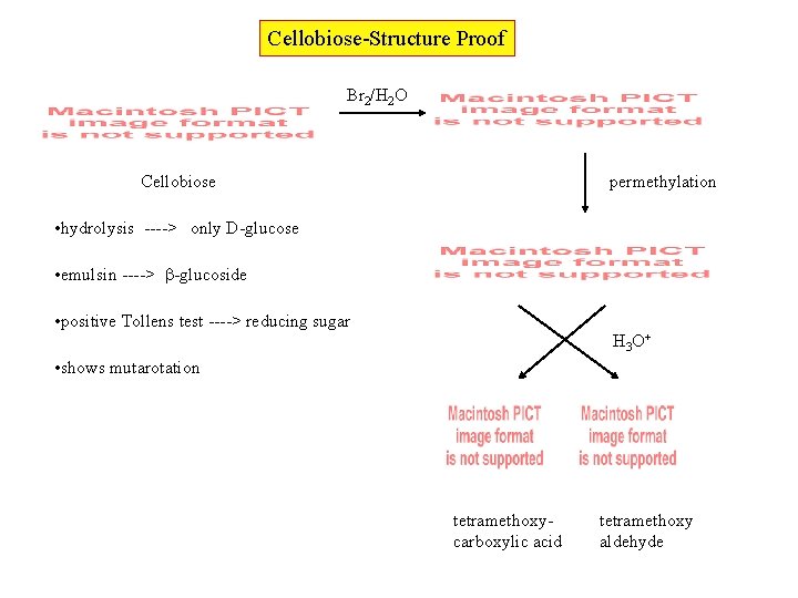 Cellobiose-Structure Proof Br 2/H 2 O Cellobiose permethylation • hydrolysis ----> only D-glucose •
