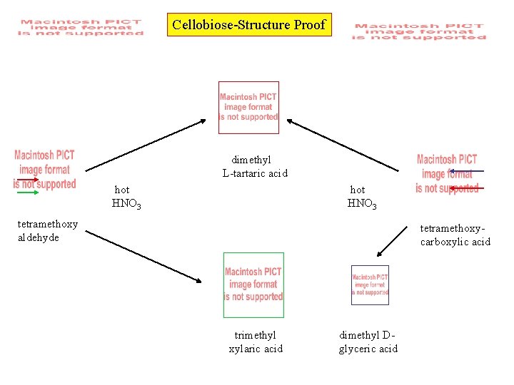 Cellobiose-Structure Proof dimethyl L-tartaric acid hot HNO 3 tetramethoxy aldehyde tetramethoxycarboxylic acid trimethyl xylaric