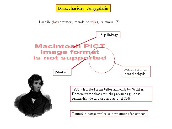 Disaccharides: Amygdalin Laetrile (laevorotatory mandelonitrile), “vitamin 17” 1, 6 - -linkage cyanohydrin of benzaldehyde