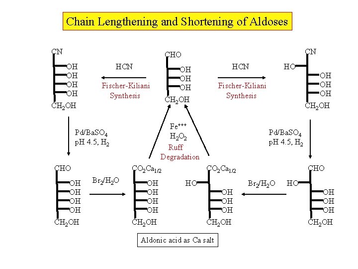 Chain Lengthening and Shortening of Aldoses CN CN CHO OH OH CH 2 OH