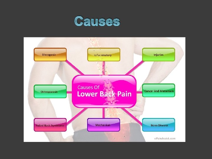 Causes 