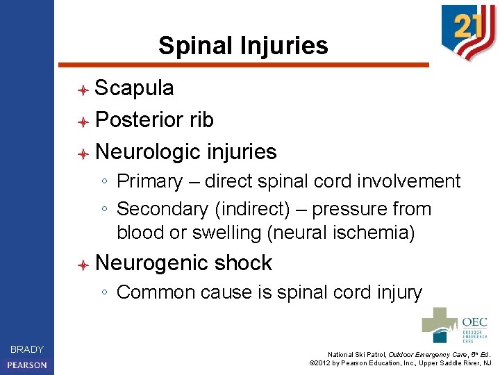 Spinal Injuries l Scapula l Posterior rib l Neurologic injuries ◦ Primary – direct