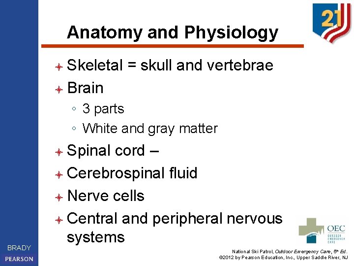 Anatomy and Physiology l Skeletal = skull and vertebrae l Brain ◦ 3 parts