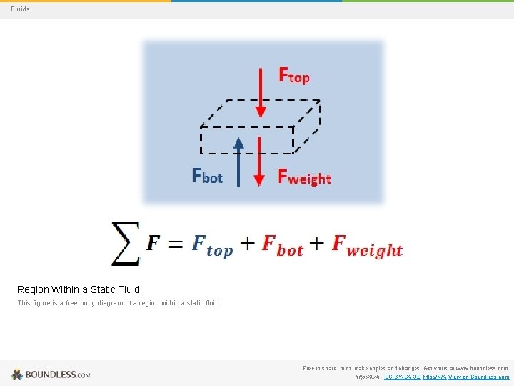 Fluids Region Within a Static Fluid This figure is a free body diagram of