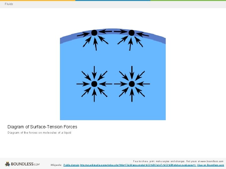 Fluids Diagram of Surface-Tension Forces Diagram of the forces on molecules of a liquid