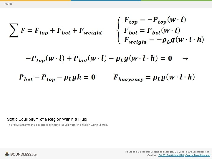 Fluids Static Equilibrium of a Region Within a Fluid This figure shows the equations
