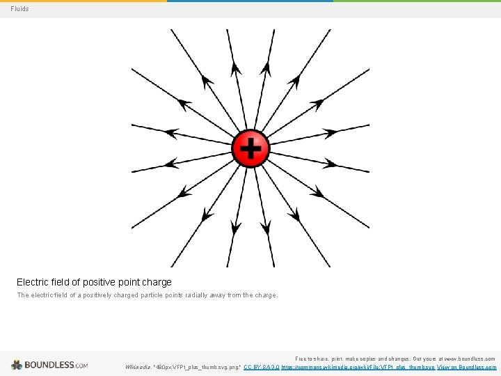 Fluids Electric field of positive point charge The electric field of a positively charged