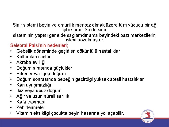 Sinir sistemi beyin ve omurilik merkez olmak üzere tüm vücudu bir ağ gibi sarar.