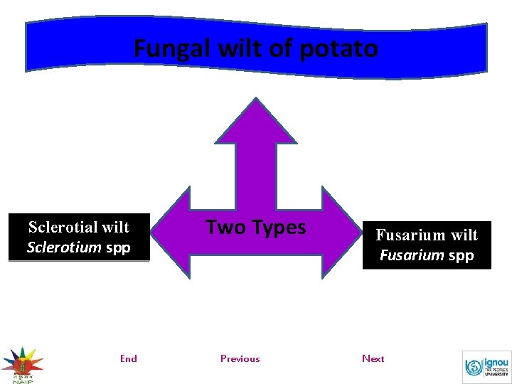 Fungal wilt of potato Sclerotial wilt Sclerotium spp End Two Types Previous Fusarium wilt