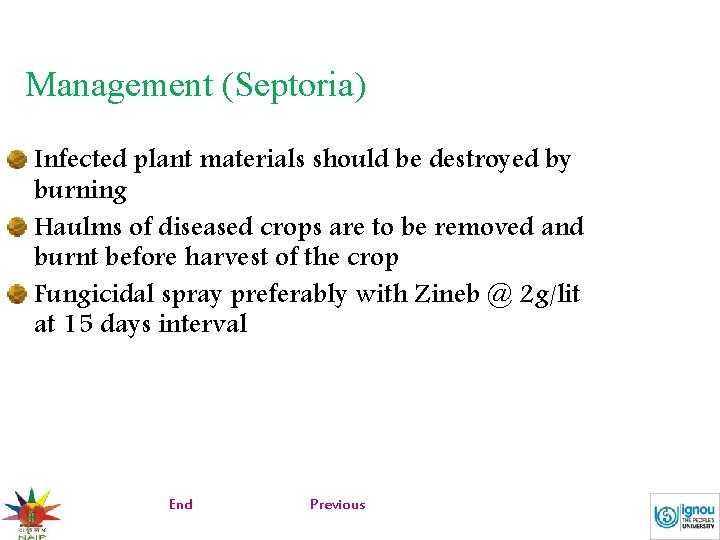 Management (Septoria) Infected plant materials should be destroyed by burning Haulms of diseased crops