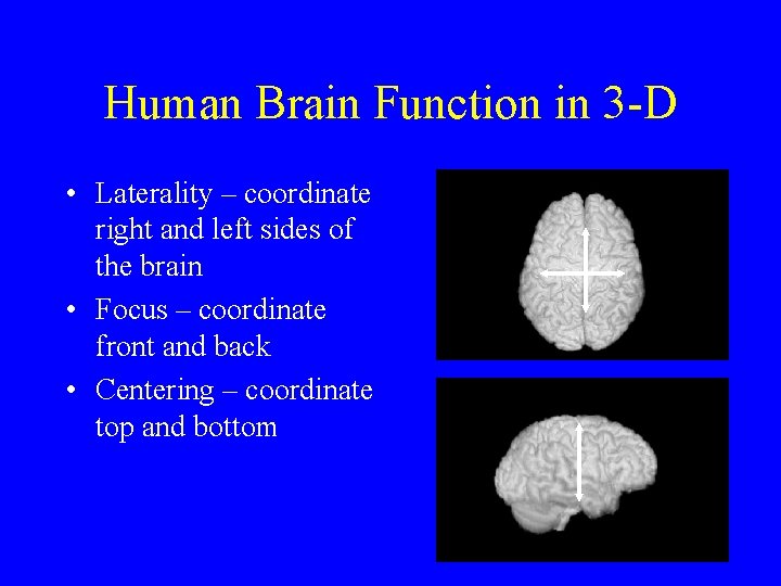 Human Brain Function in 3 -D • Laterality – coordinate right and left sides