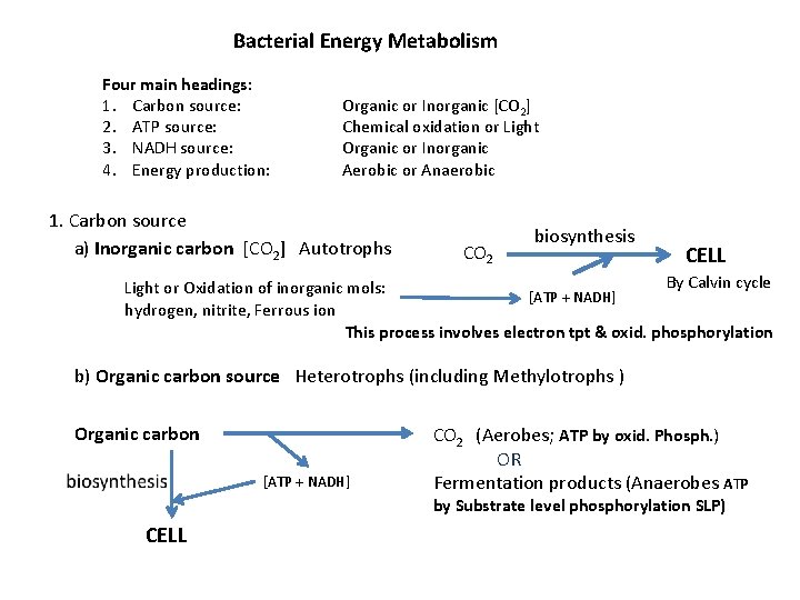 Bacterial Energy Metabolism Four main headings: 1. Carbon source: 2. ATP source: 3. NADH