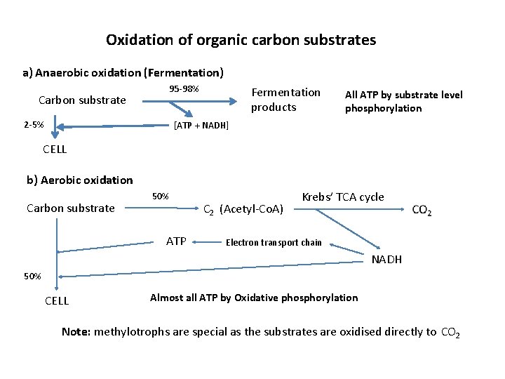 Oxidation of organic carbon substrates a) Anaerobic oxidation (Fermentation) 95 -98% Carbon substrate 2