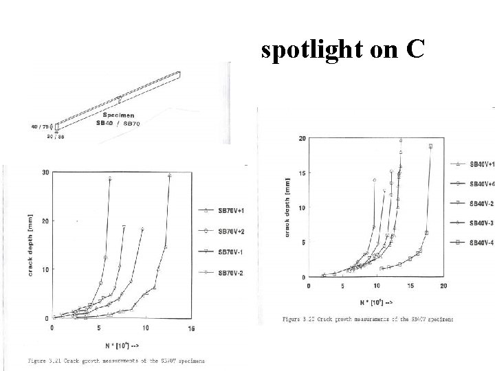 spotlight on C 