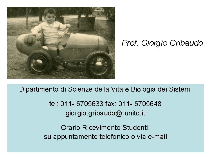 Prof. Giorgio Gribaudo Dipartimento di Scienze della Vita e Biologia dei Sistemi tel: 011