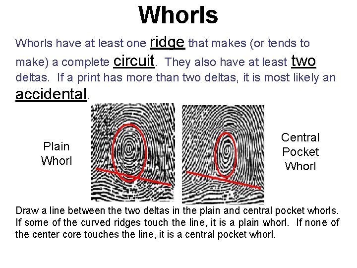 Whorls have at least one ridge that makes (or tends to make) a complete