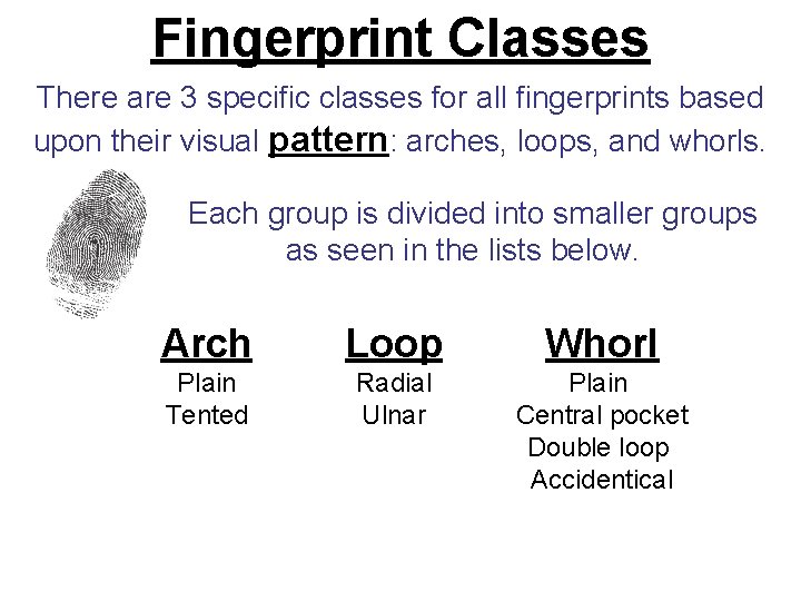 Fingerprint Classes There are 3 specific classes for all fingerprints based upon their visual Fingerprint Classes There are 3 specific classes for all fingerprints based upon their visual