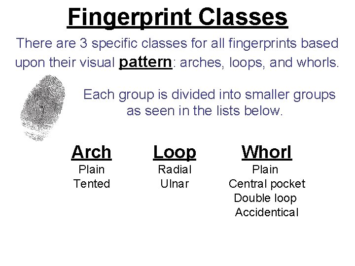 Fingerprint Classes There are 3 specific classes for all fingerprints based upon their visual