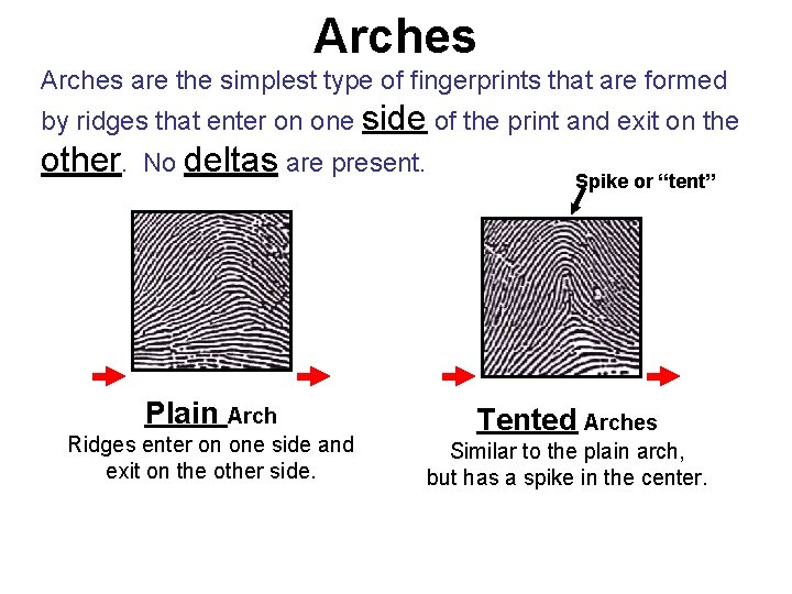 Arches are the simplest type of fingerprints that are formed by ridges that enter