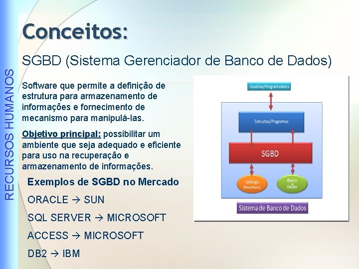 Conceitos: RECURSOS HUMANOS SGBD (Sistema Gerenciador de Banco de Dados) Software que permite a