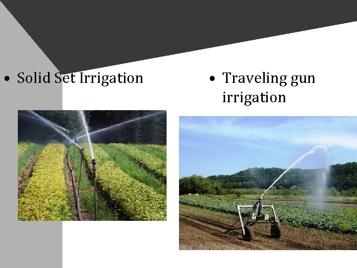  • Solid Set Irrigation • Traveling gun irrigation 
