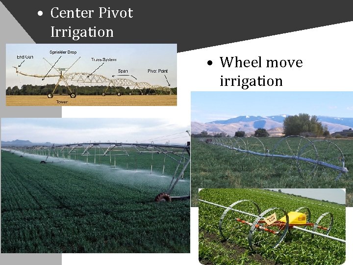  • Center Pivot Irrigation • Wheel move irrigation 