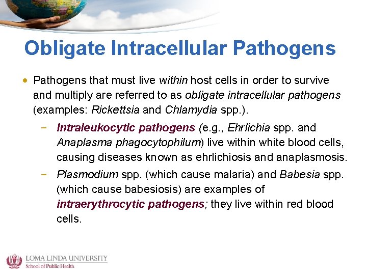 Obligate Intracellular Pathogens • Pathogens that must live within host cells in order to