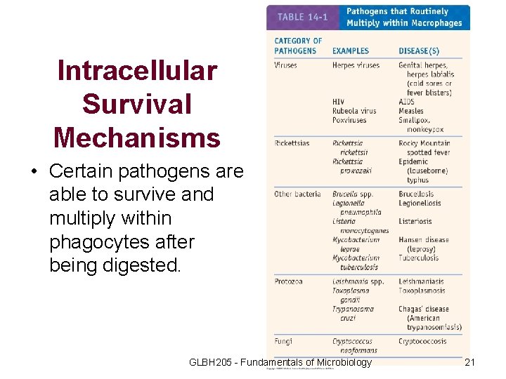 Intracellular Survival Mechanisms • Certain pathogens are able to survive and multiply within phagocytes