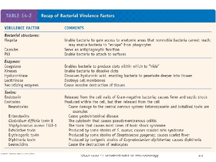 GLBH 205 - Fundamentals of Microbiology 23 