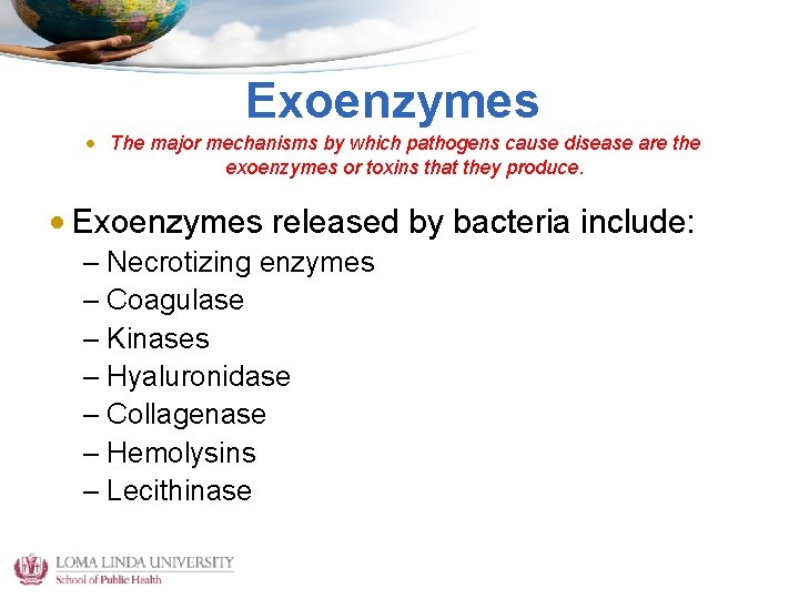 Exoenzymes • The major mechanisms by which pathogens cause disease are the exoenzymes or