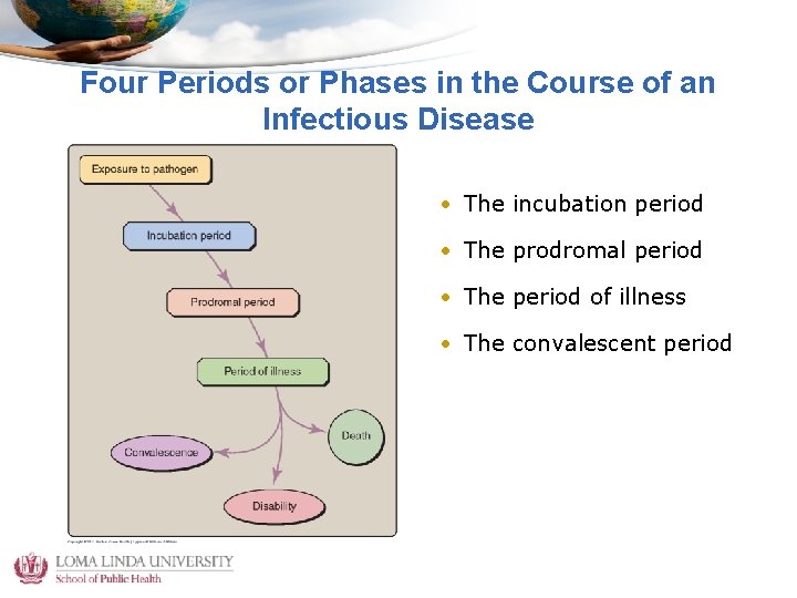 Four Periods or Phases in the Course of an Infectious Disease • The incubation