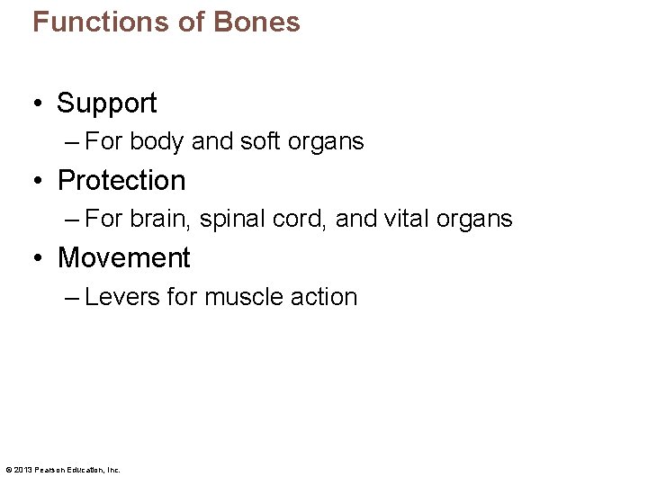 Functions of Bones • Support – For body and soft organs • Protection –