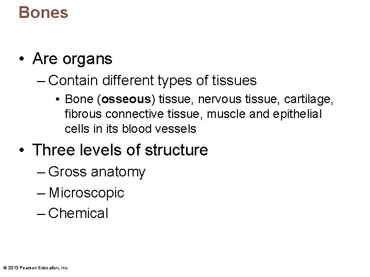 Bones • Are organs – Contain different types of tissues • Bone (osseous) tissue,