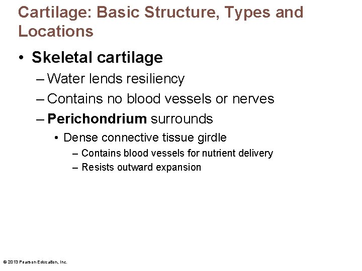 Cartilage: Basic Structure, Types and Locations • Skeletal cartilage – Water lends resiliency –