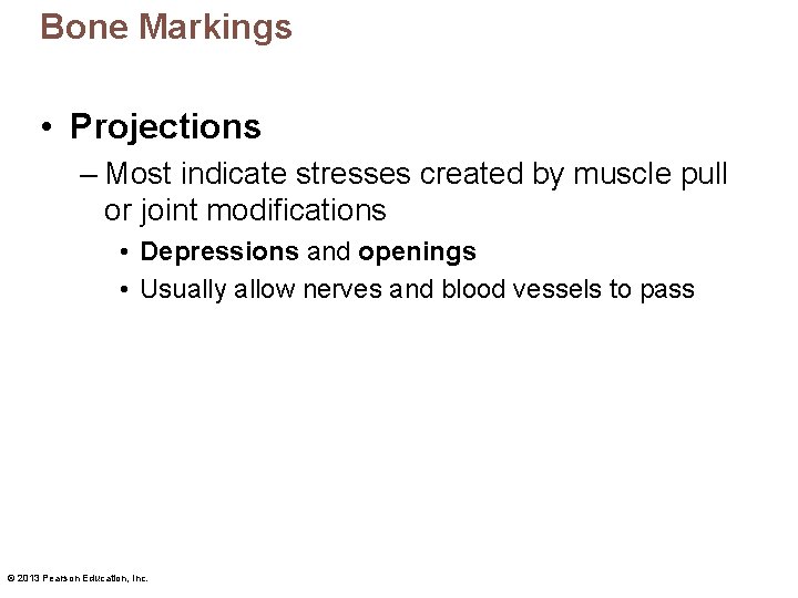 Bone Markings • Projections – Most indicate stresses created by muscle pull or joint