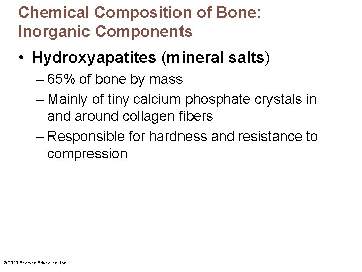 Chemical Composition of Bone: Inorganic Components • Hydroxyapatites (mineral salts) – 65% of bone