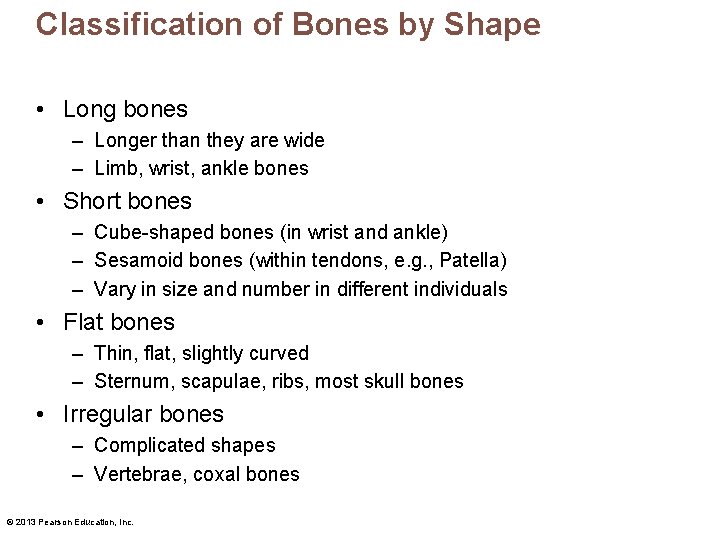 Classification of Bones by Shape • Long bones – Longer than they are wide