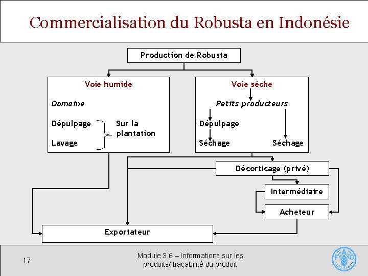 Commercialisation du Robusta en Indonésie Production de Robusta Voie humide Voie sèche Domaine Dépulpage