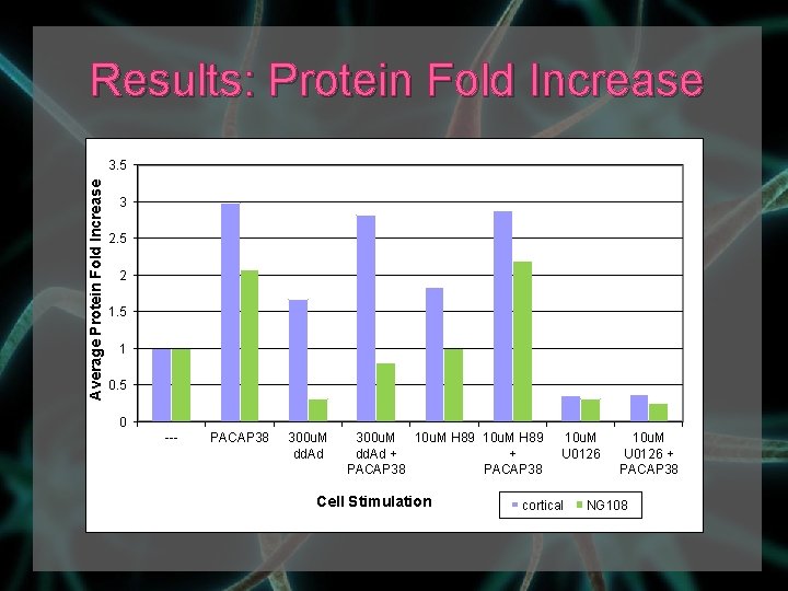 Results: Protein Fold Increase Average Protein Fold Increase 3. 5 3 2. 5 2