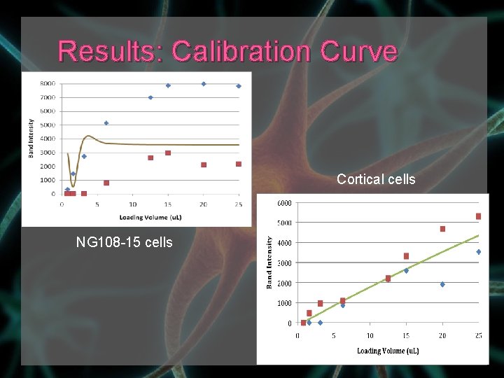 Results: Calibration Curve Cortical cells NG 108 -15 cells 