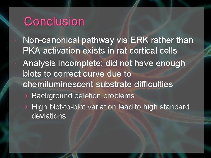 Conclusion Non-canonical pathway via ERK rather than PKA activation exists in rat cortical cells