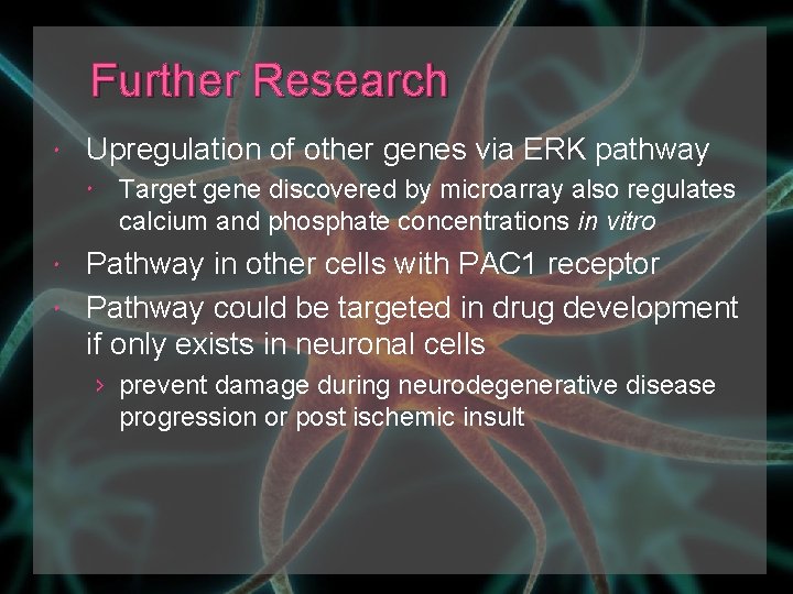 Further Research Upregulation of other genes via ERK pathway Target gene discovered by microarray