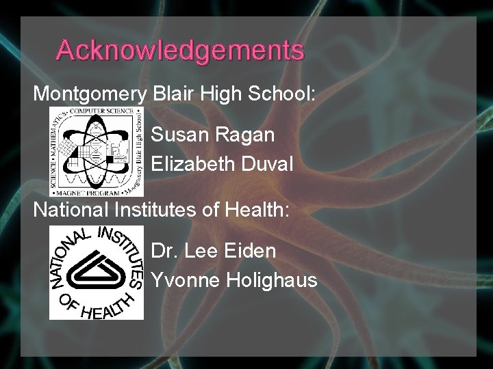 Acknowledgements Montgomery Blair High School: Susan Ragan Elizabeth Duval National Institutes of Health: Dr.