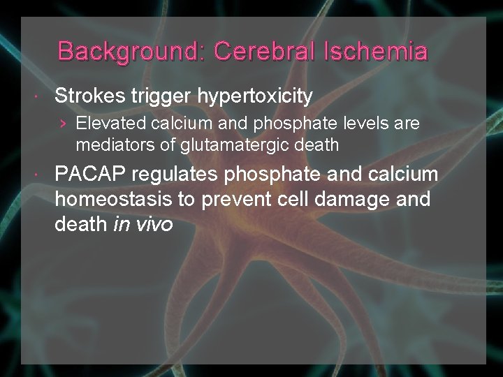 Background: Cerebral Ischemia Strokes trigger hypertoxicity › Elevated calcium and phosphate levels are mediators