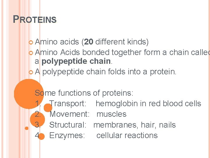 PROTEINS Amino acids (20 different kinds) Amino Acids bonded together form a chain called