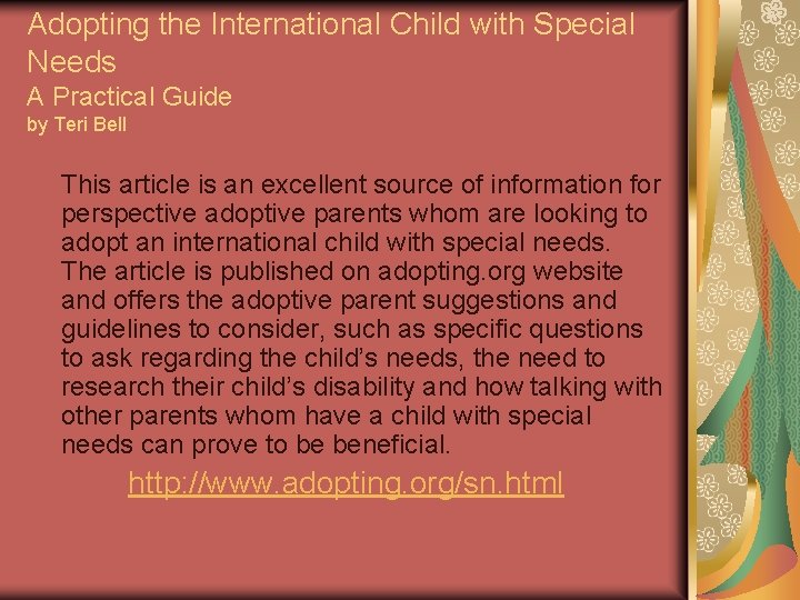 Adopting the International Child with Special Needs A Practical Guide by Teri Bell This