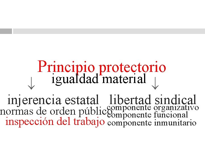 Principio protectorio igualdad material injerencia estatal componente organizativo libertad sindical normas de orden público