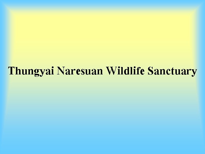 Thungyai Naresuan Wildlife Sanctuary 