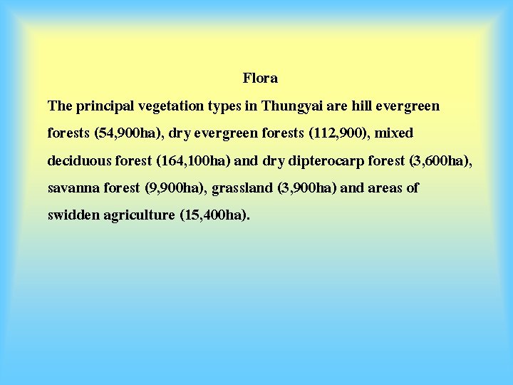 Flora The principal vegetation types in Thungyai are hill evergreen forests (54, 900 ha),